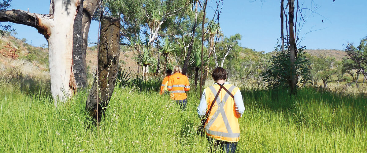 Staff taking part in an annual multi-agency inspection in the East Kimberley.