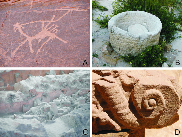 Non fossils include all archaeological items made by people: A. rock art carving; B. stone bowl or pot; C. broken pottery statues; and D. stone carved into the shape of an ammonoid.