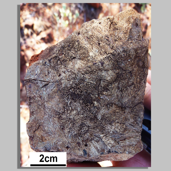 Platy pyroxene spinifex texture in siliceous high-magnesium basalt of the Polelle Group, Murchison Supergroup, Polelle Syncline