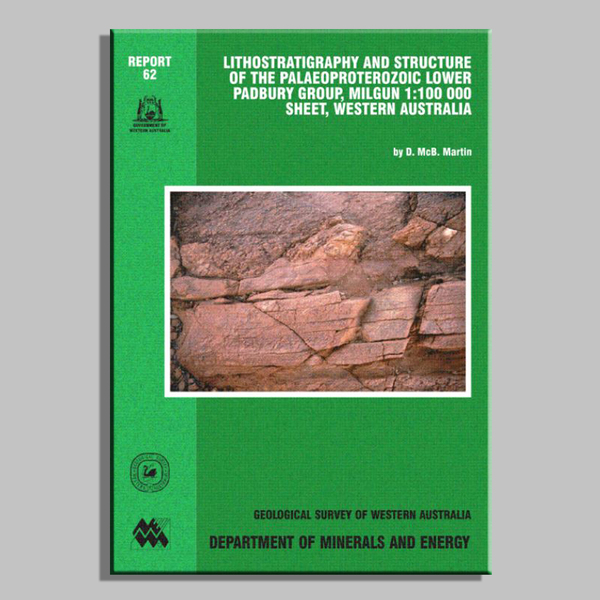 Lithostratigraphy and structure of the Palaeoproterozoic lower Padbury Group
