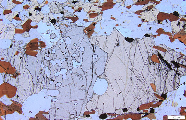 Garnet–orthopyroxene–cordierite–biotite pelitic gneiss from Griffins Find, southwest Yilgarn Craton