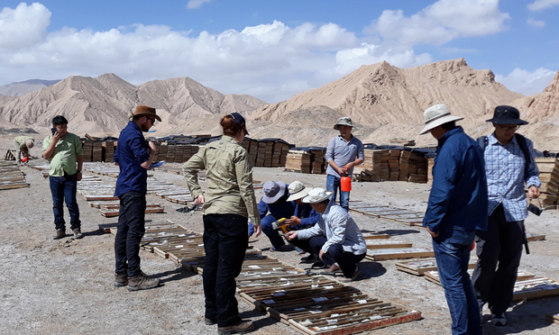 Geologists from GSWA and the China Geological Survey examine drill core from the Xiarihamu nickel deposit, in the East Kunlun Mountains of Central China.