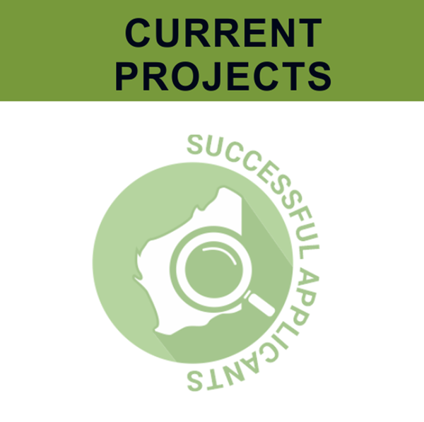 successful projects