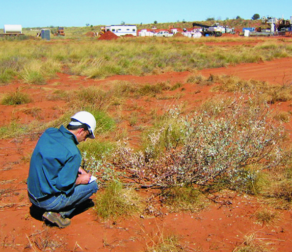 DMP environment officer assessing vegetation (Photo: courtesy of DMP Environment Division)